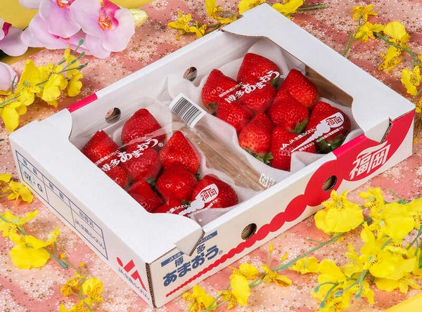 【千葉県内発】 いちご1箱付きミステリーツアー1